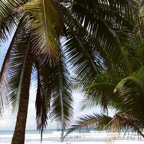 Meet your Posher, Len - Picture 2 of 2